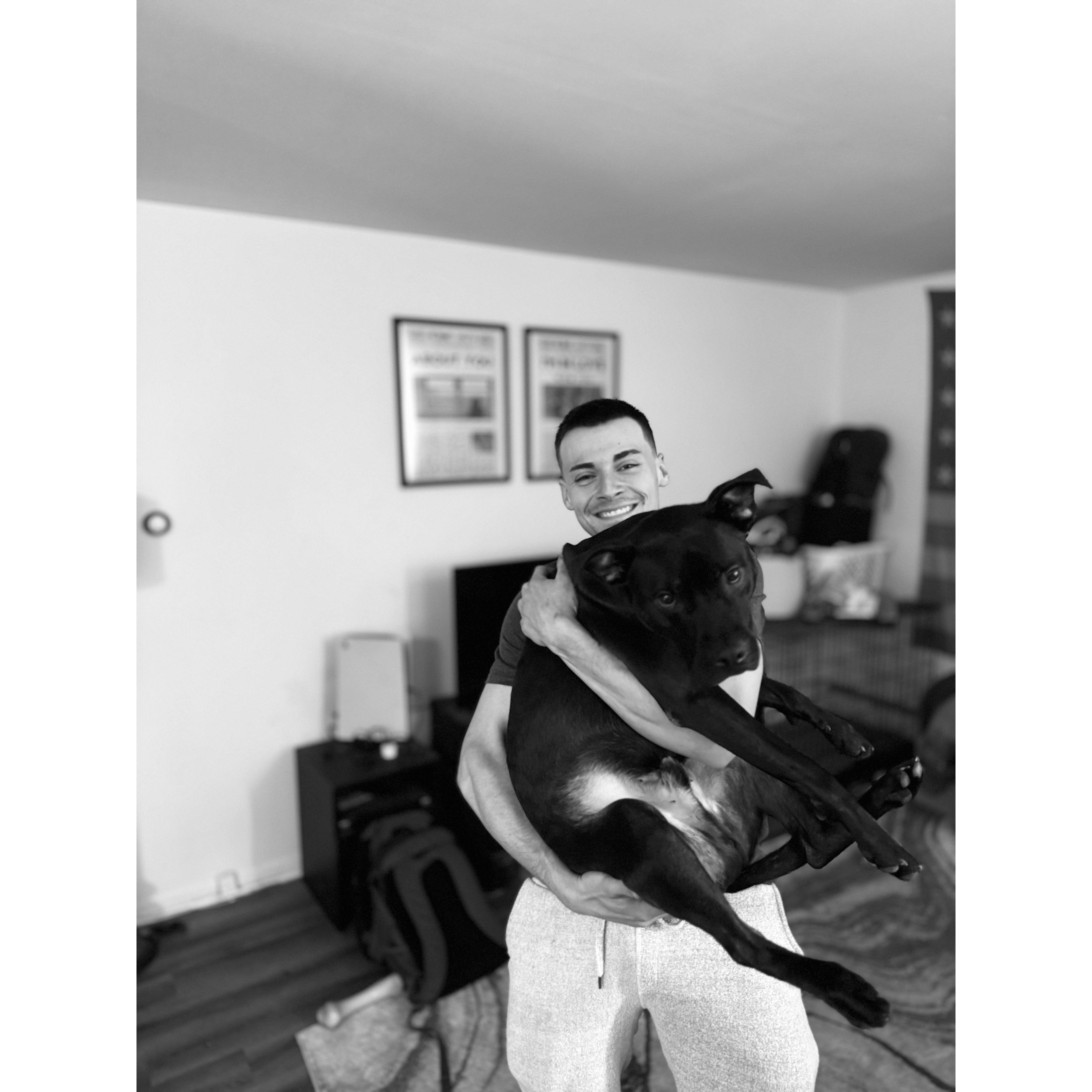 Rocky the BIG Baby