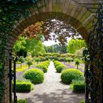 Filoli Historic House & Garden