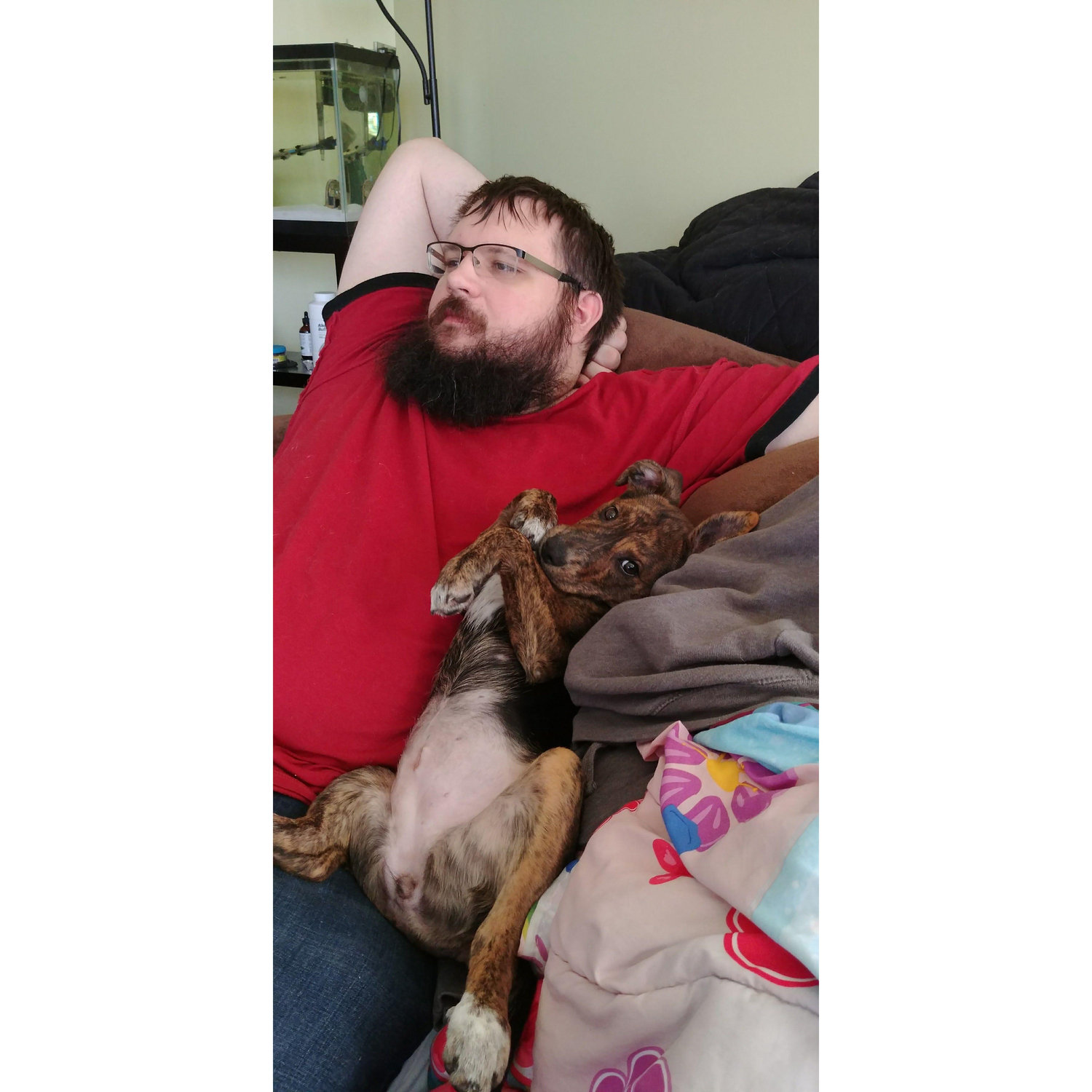 Sam relaxing with Tippy 2017