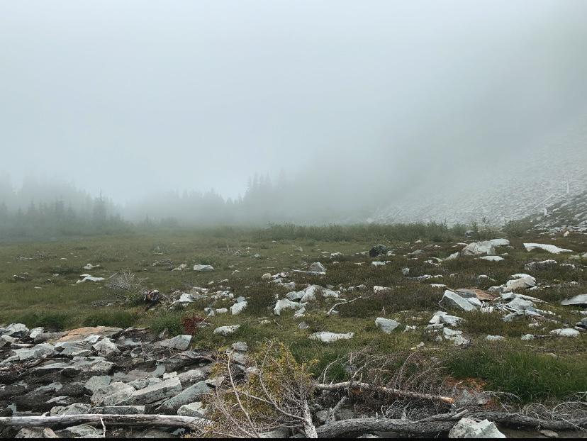 Bench Lake/ Snow Lake trail