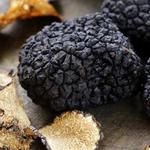Wedding Truffle Tour