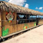 Tiki Taxi and Cruises