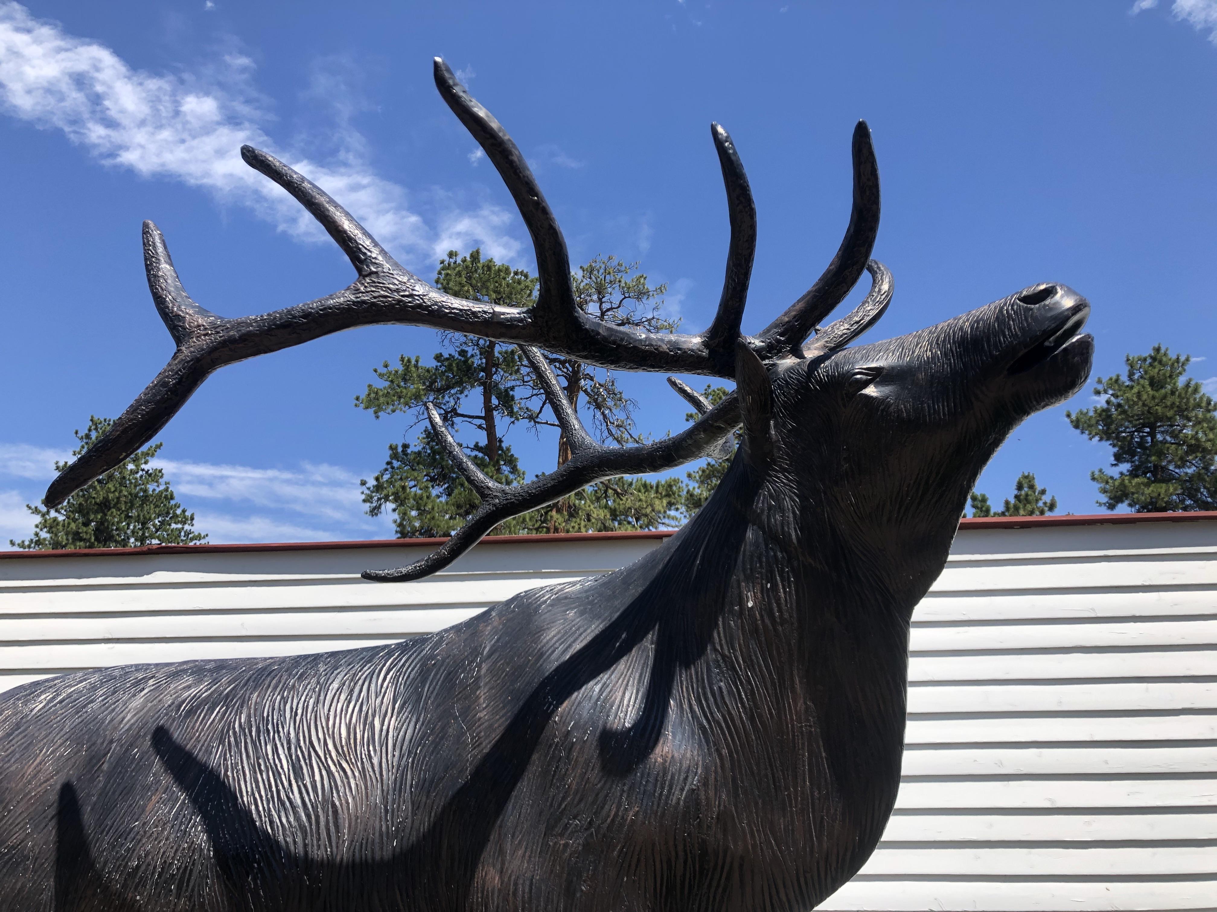 The Wedding Website of Grace Gamba and Jason Van Hare