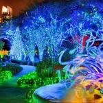 Atlanta Botanical Garden