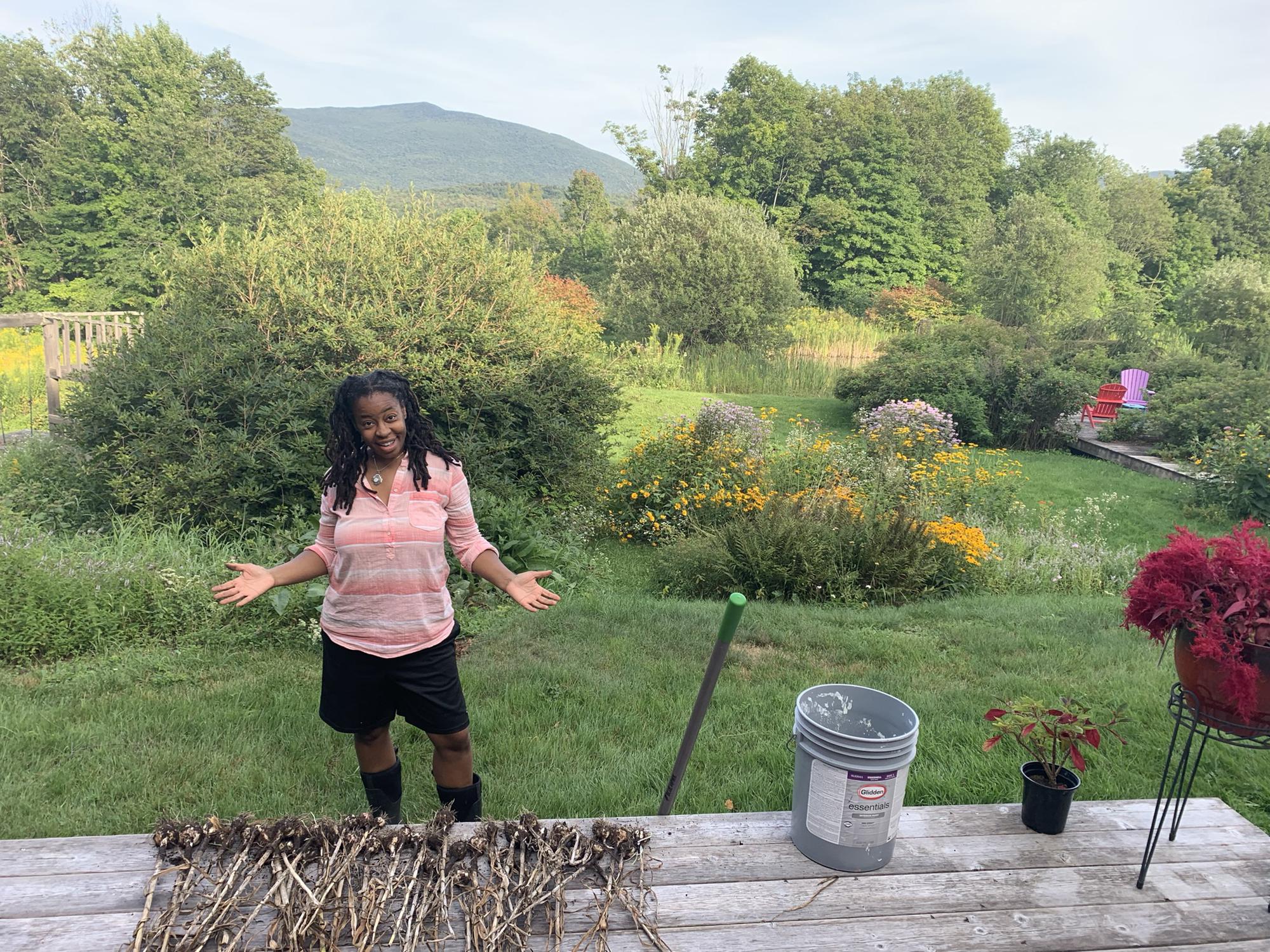 Garlic Harvest!