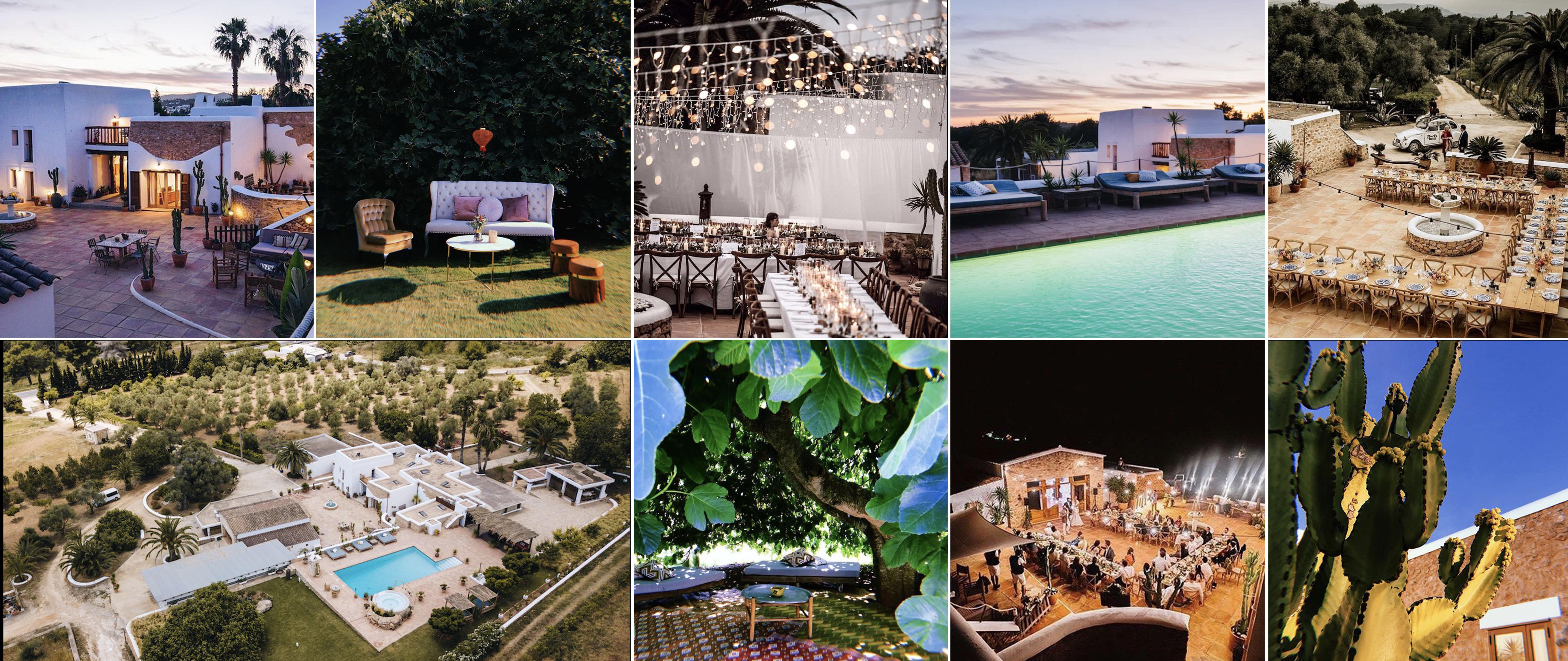 The Wedding Website of Dinushi Perera and Steven Appleyard
