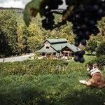 Grandfather Vineyard & Winery