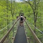 The Holden Arboretum