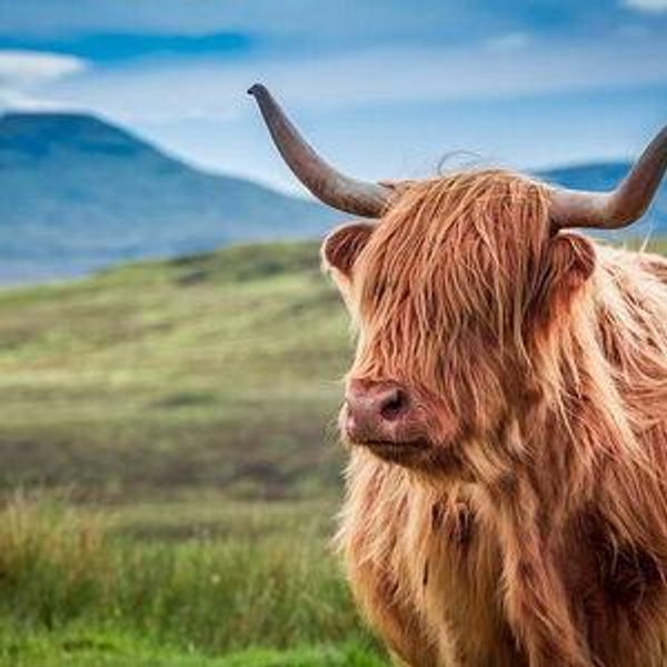 5 Night Stay In Scotland