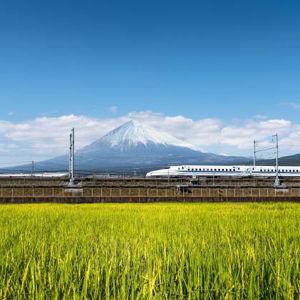 Bullet Train to Sapporo