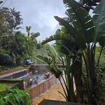 Poça da Dona Beija - Swim in the Hot Springs of Furnas