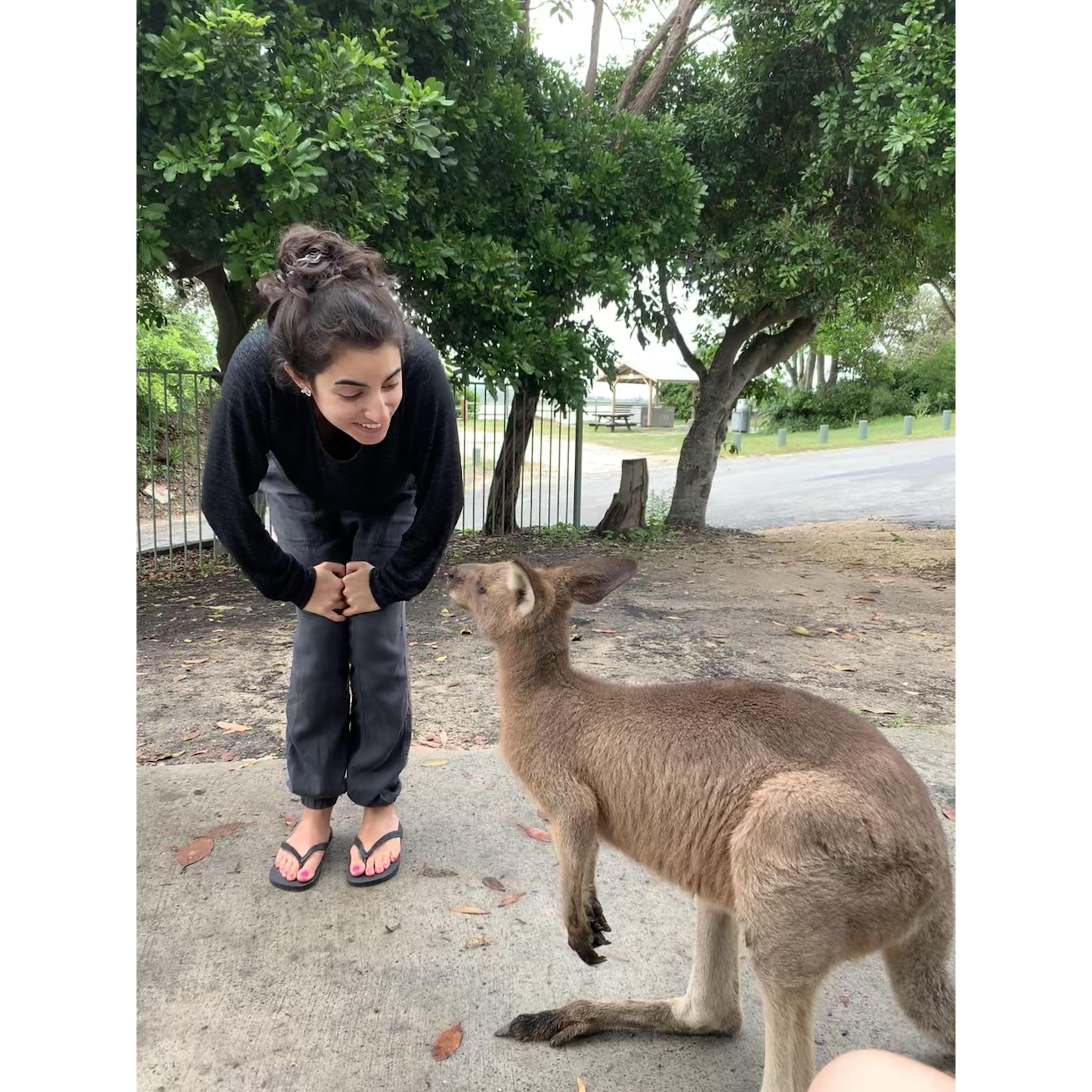 Trial Bay Gaol campground, New South Wales, AU. March 2020.
Interacting with the locals while van camping along the NSW coast.