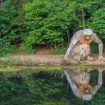 Bernheim Forest
