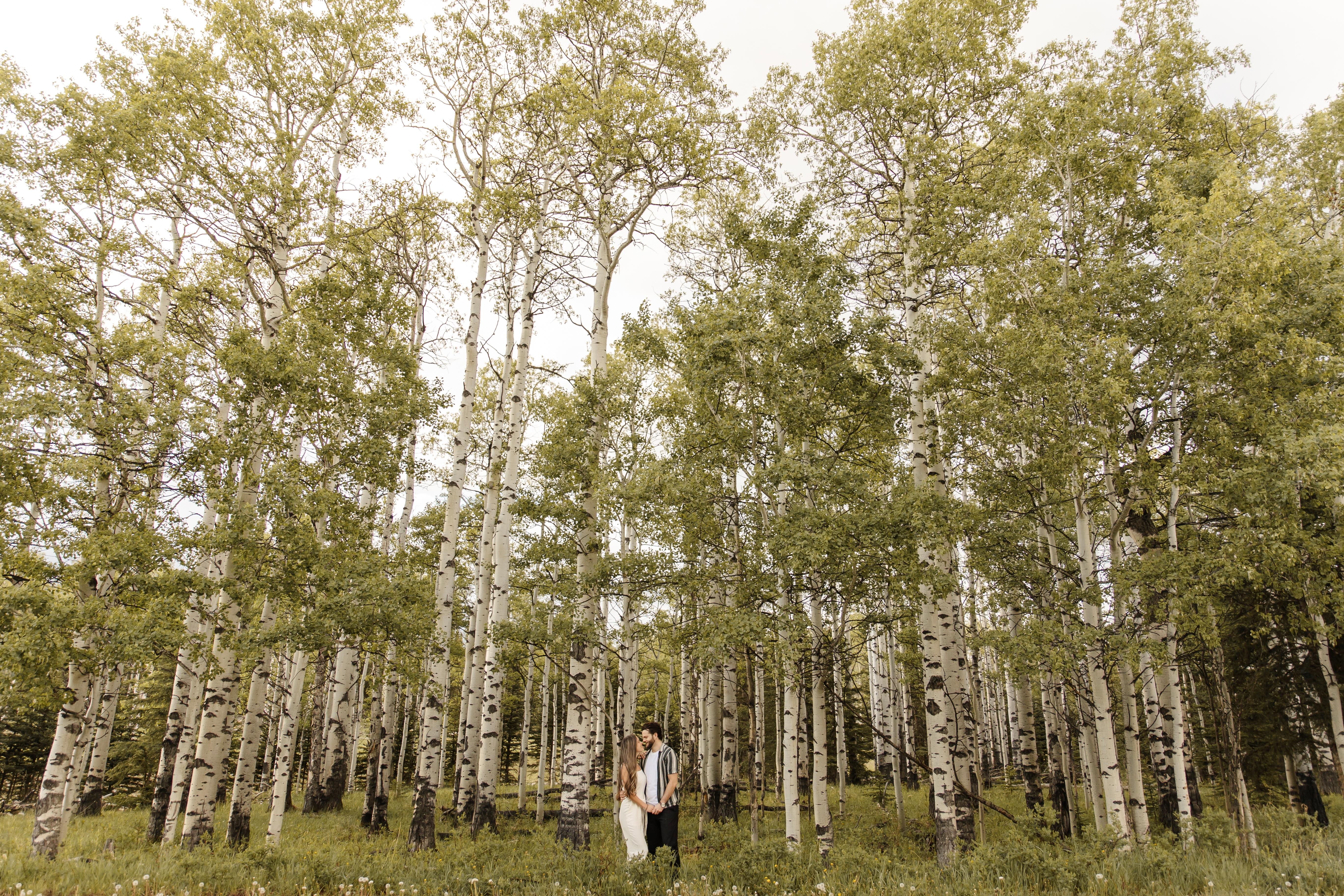 The Wedding Website of Chantelle Barnhart and Dylan Chant