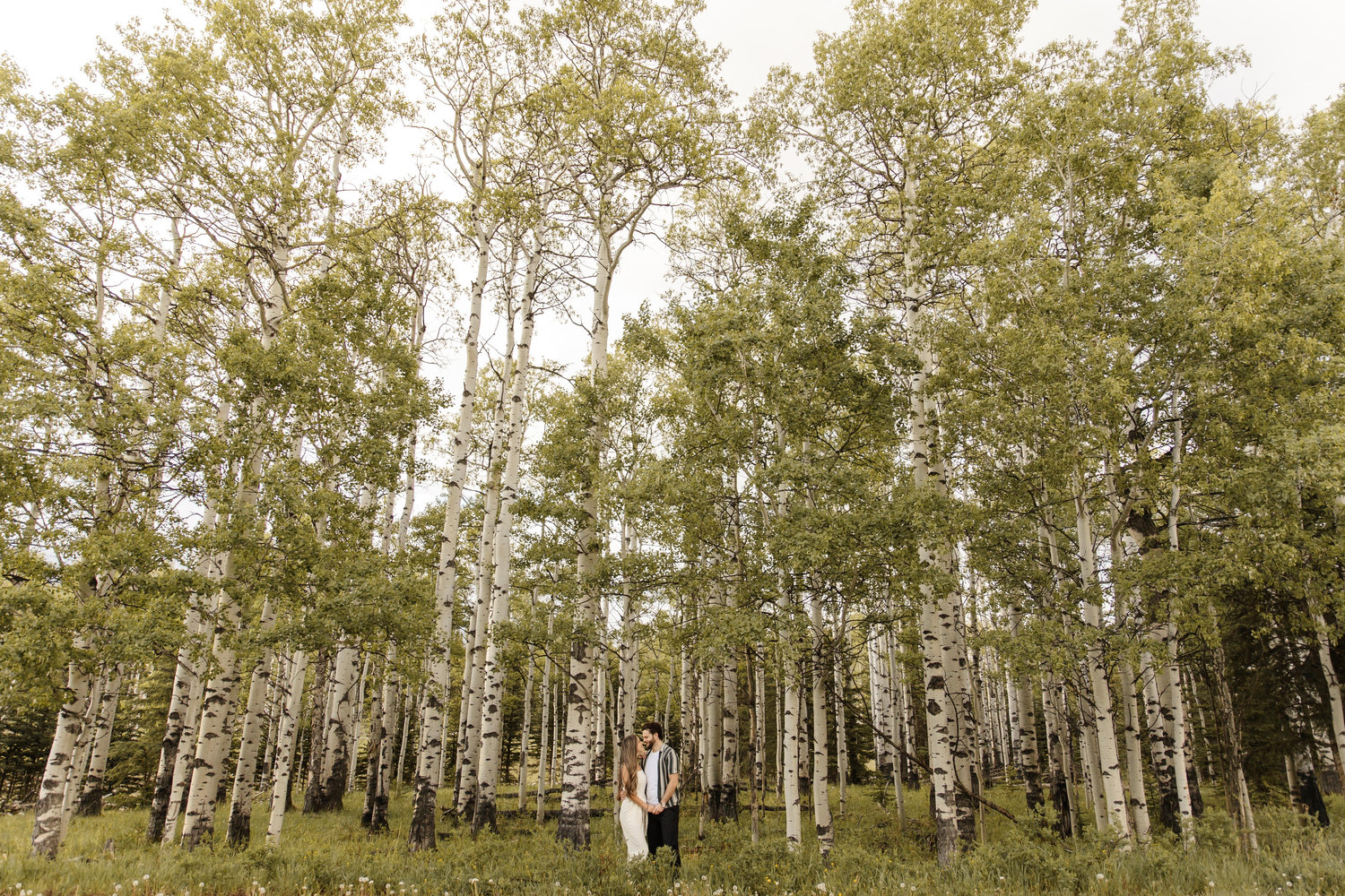 The Wedding Website of Chantelle Barnhart and Dylan Chant