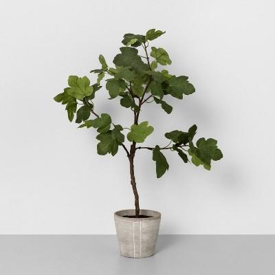 39" Faux Common Fig Potted Plant - Hearth & Hand™ with Magnolia