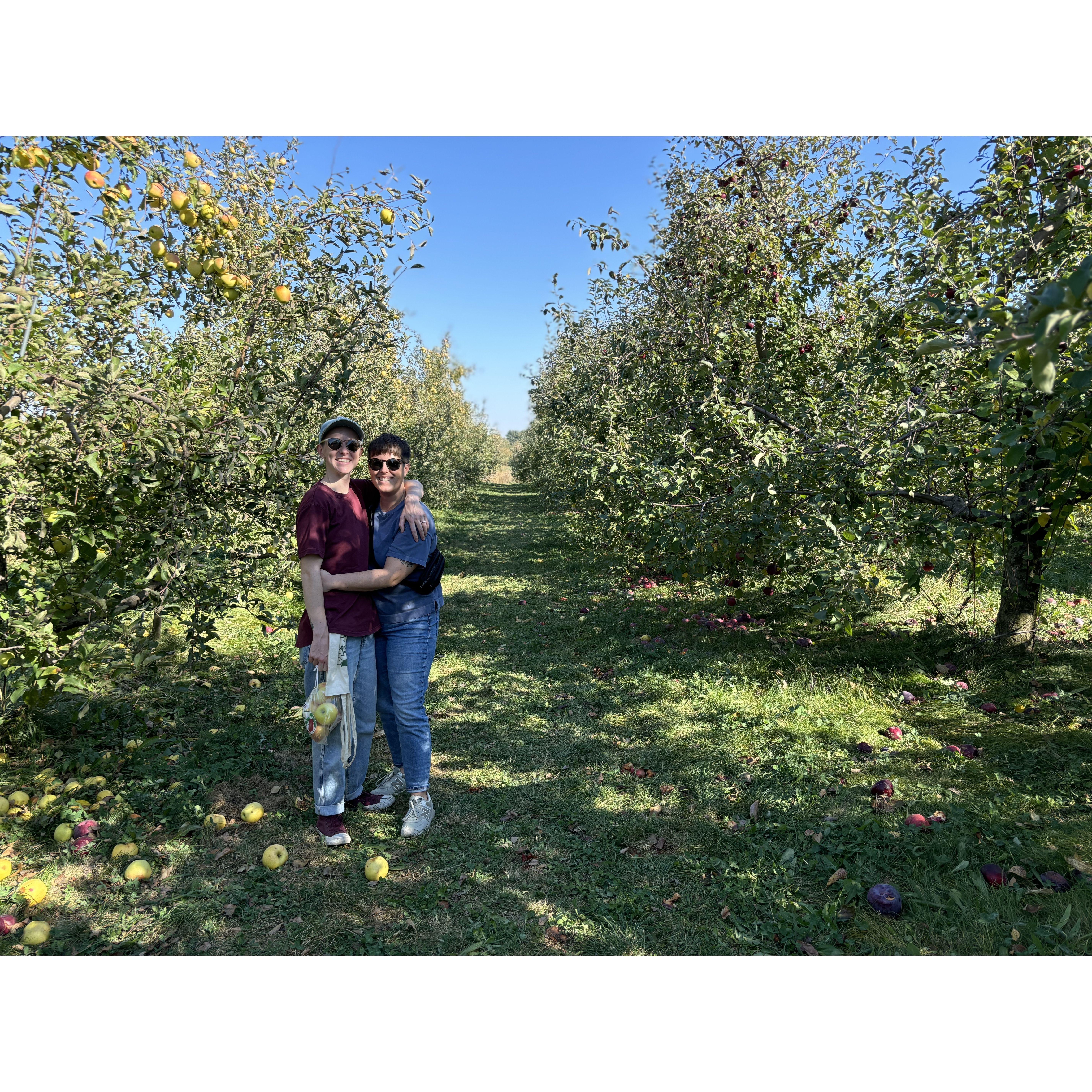 How about them apples?