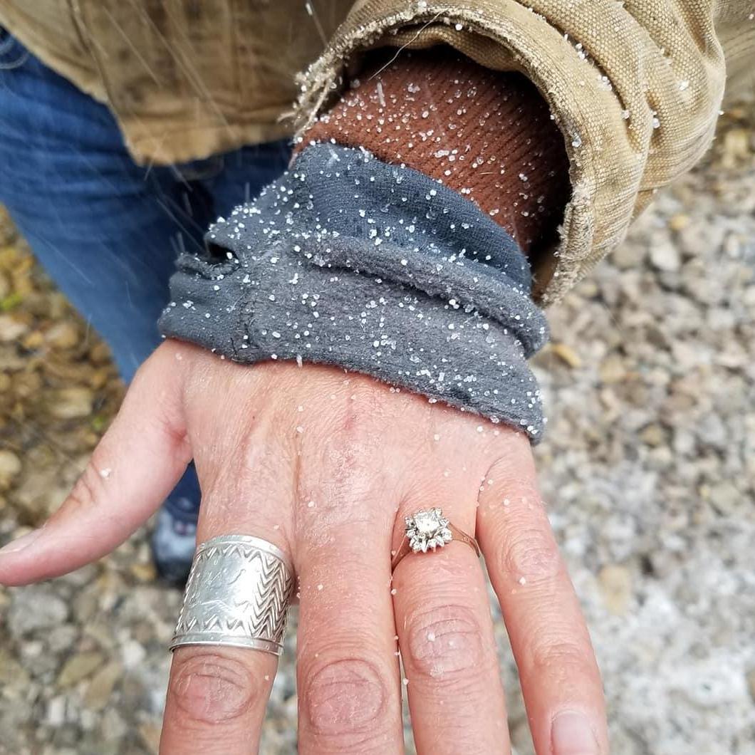 The ring.