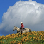HORSEBACK RIDING