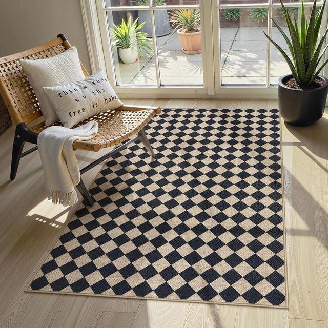 Lahome Checkered Outdoor Patio Rug, Washable Indoor Outdoor Rug for Porch Deck, Neutral Non Slip Non Shedding Stain Resistance Floor Carpet for Entryway Foyer Backyard