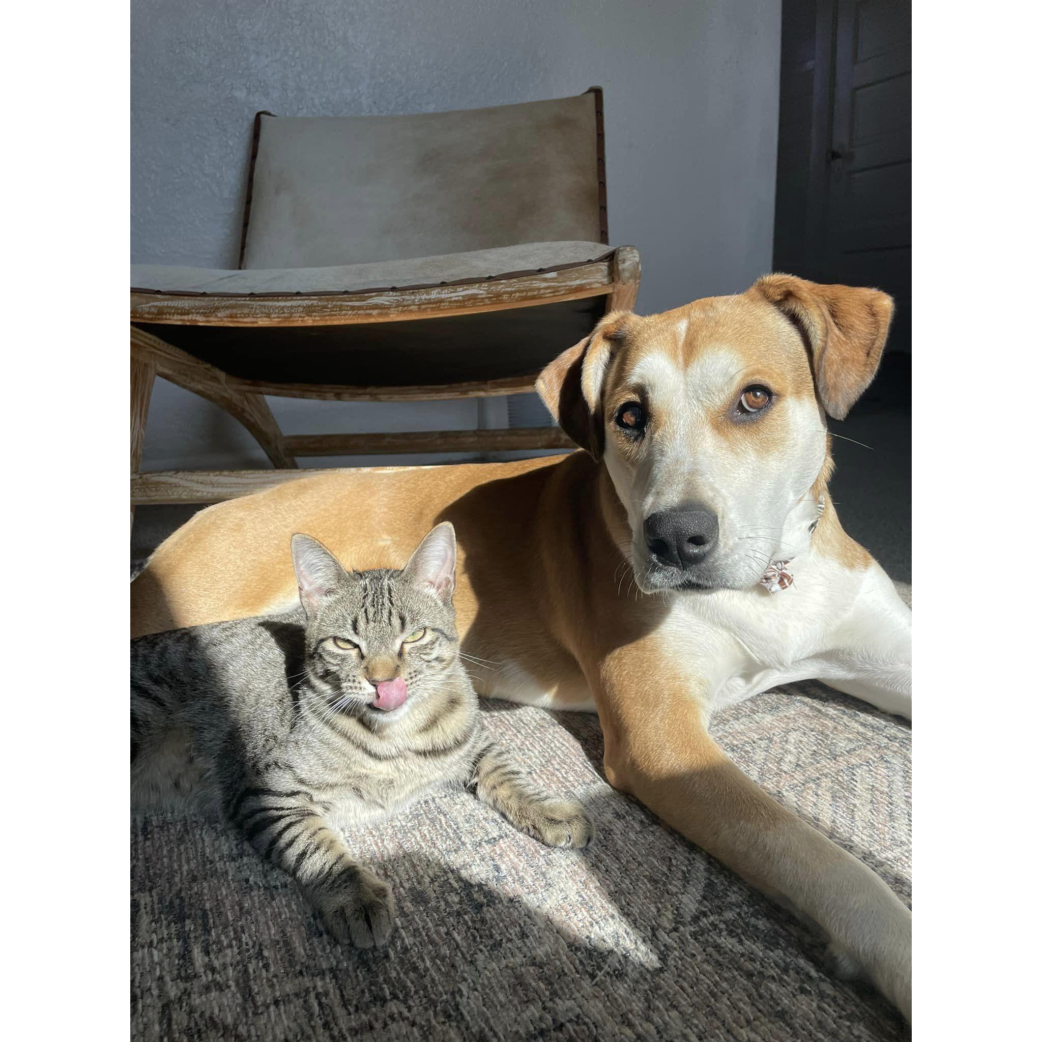Partners in Crime