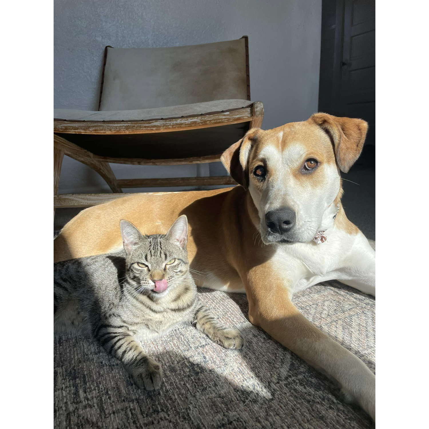 Partners in Crime
