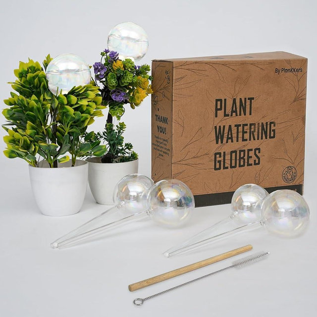 Iridescent Self Watering Globes, Glass Rainbow Plant Watering Globes, Self Watering Planter Insert, Automatic Plant Waterer Indoor (Medium-6 Pcs Iridescent, Medium)