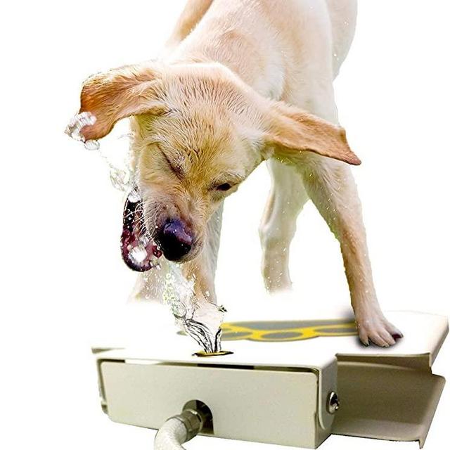Dog Water Dispenser Pet Fountain - Upgraded 2019 Easy Paw Activated Dog Steps Eco-Friendly Pet Water Fountain with New Durable Leak-Proof Dog Bowl Hose Fresh Water Funny Dog Toys Keep Pets Cool
