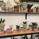 Gallery Grow