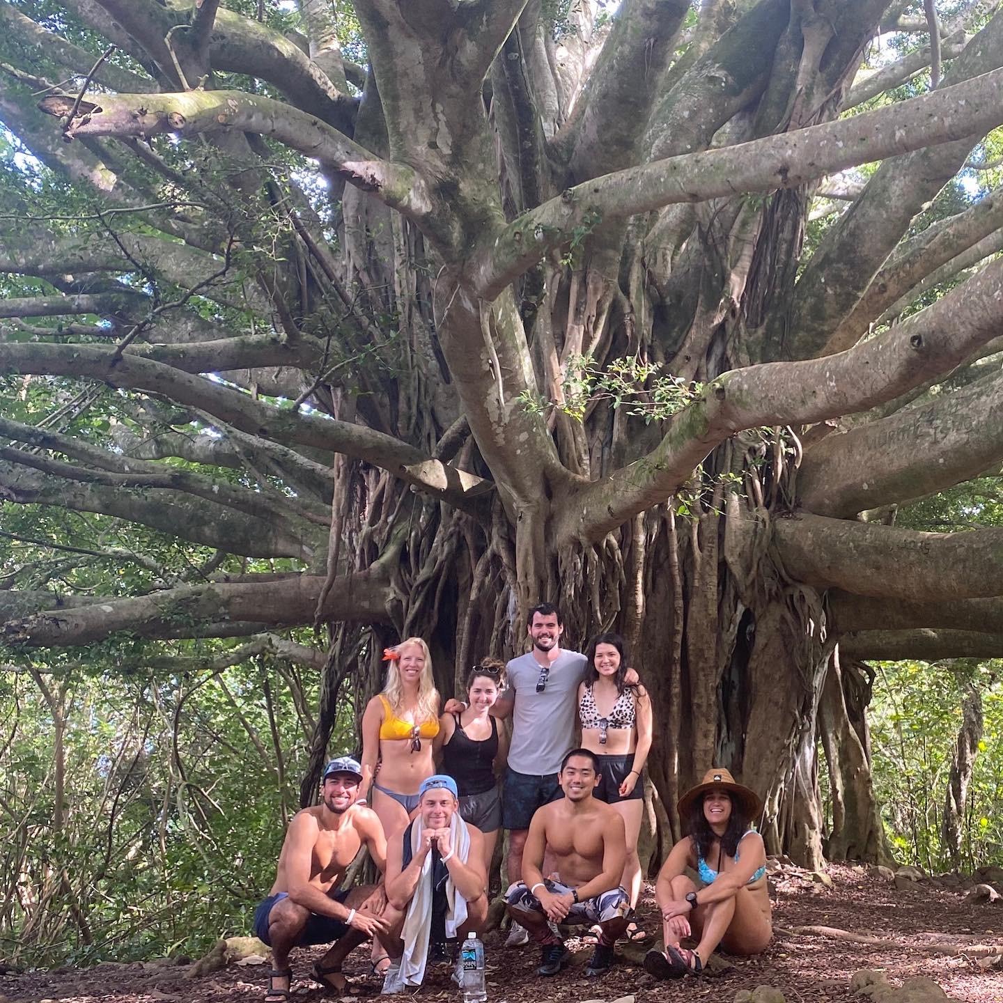 November 18, 2020 - After 8 months of COVID-19 lockdown, we go to Maui with a group of friends and have a blast. We can't wait to go back for our honeymoon!