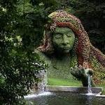 Atlanta Botanical Garden
