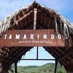 Tamarindos Mexican Farm-To-Table Restaurant