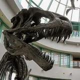 North Carolina Museum of Natural Sciences