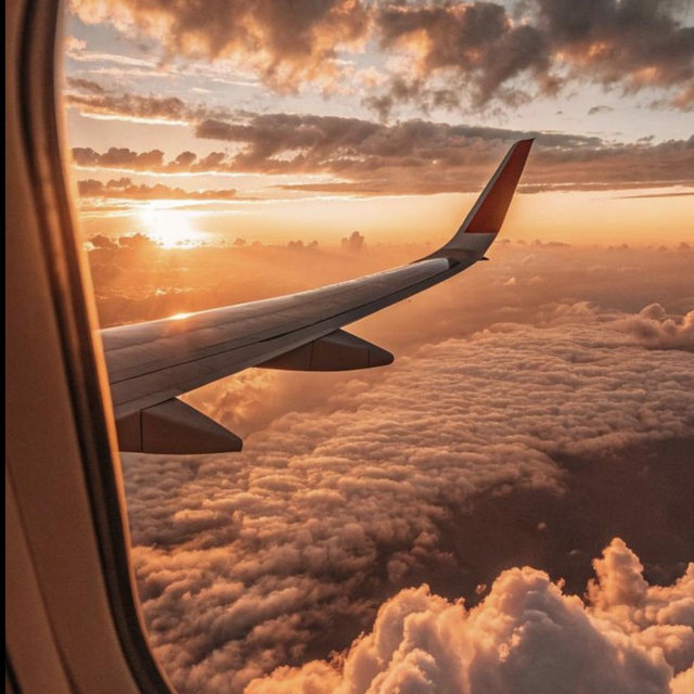 Honeymoon Flights