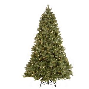 Future Christmas Tree Fund