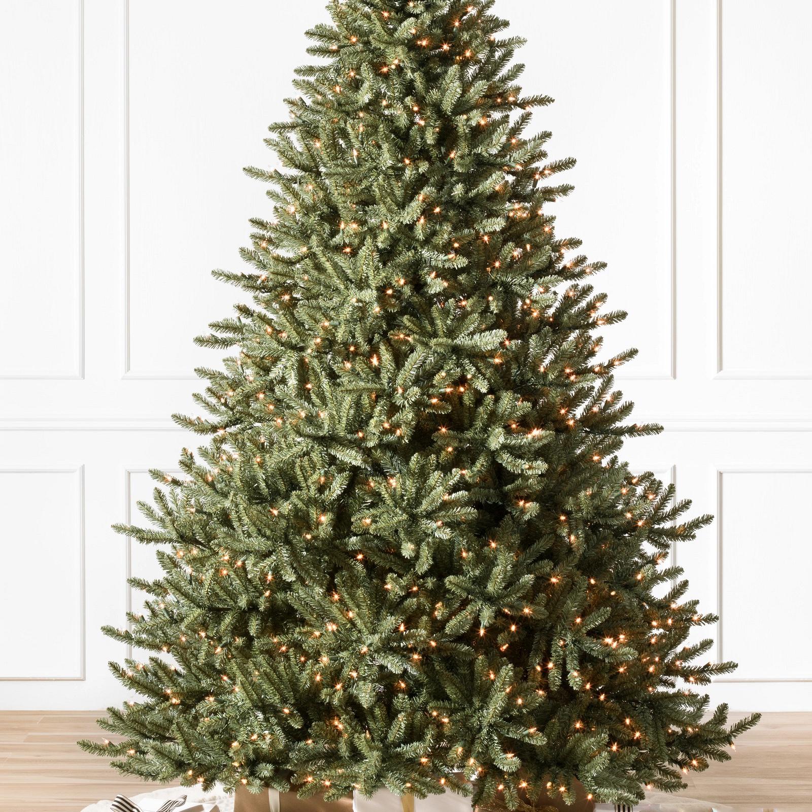 Classic Blue Spruce Trees