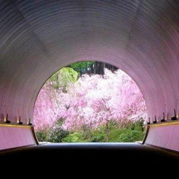 Tickets For Museums and Experiences