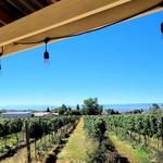 Stoney Mesa Winery