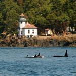 Lime Kiln Point State Park