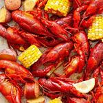 The Boozy & Boiling Barn (Crawfish and Daiquiris)