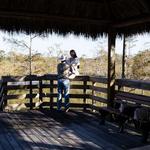 Grassy Waters Preserve