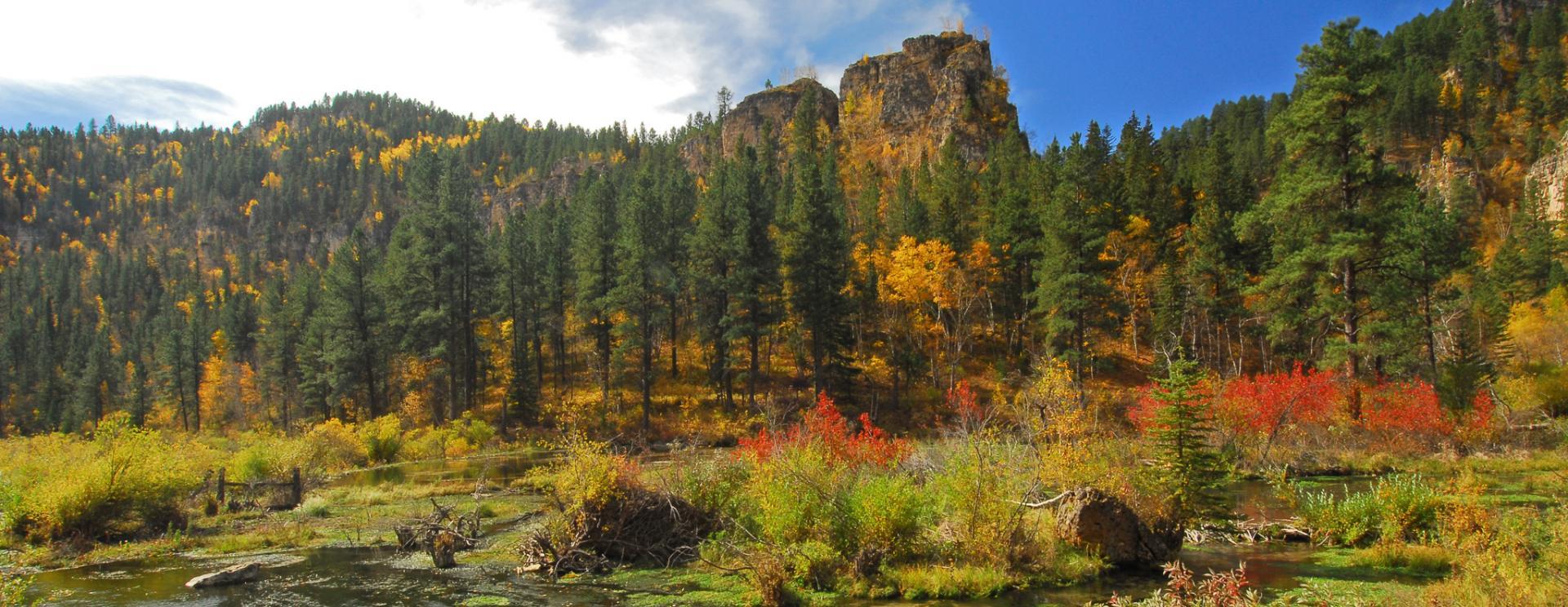 The Wedding Website of Alex Rutan and Trevor Mazzola