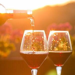 Private Wine Tour in Alba, Italy