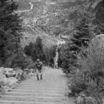 The Incline