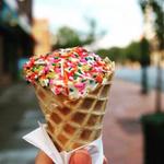 Yogurt Pump