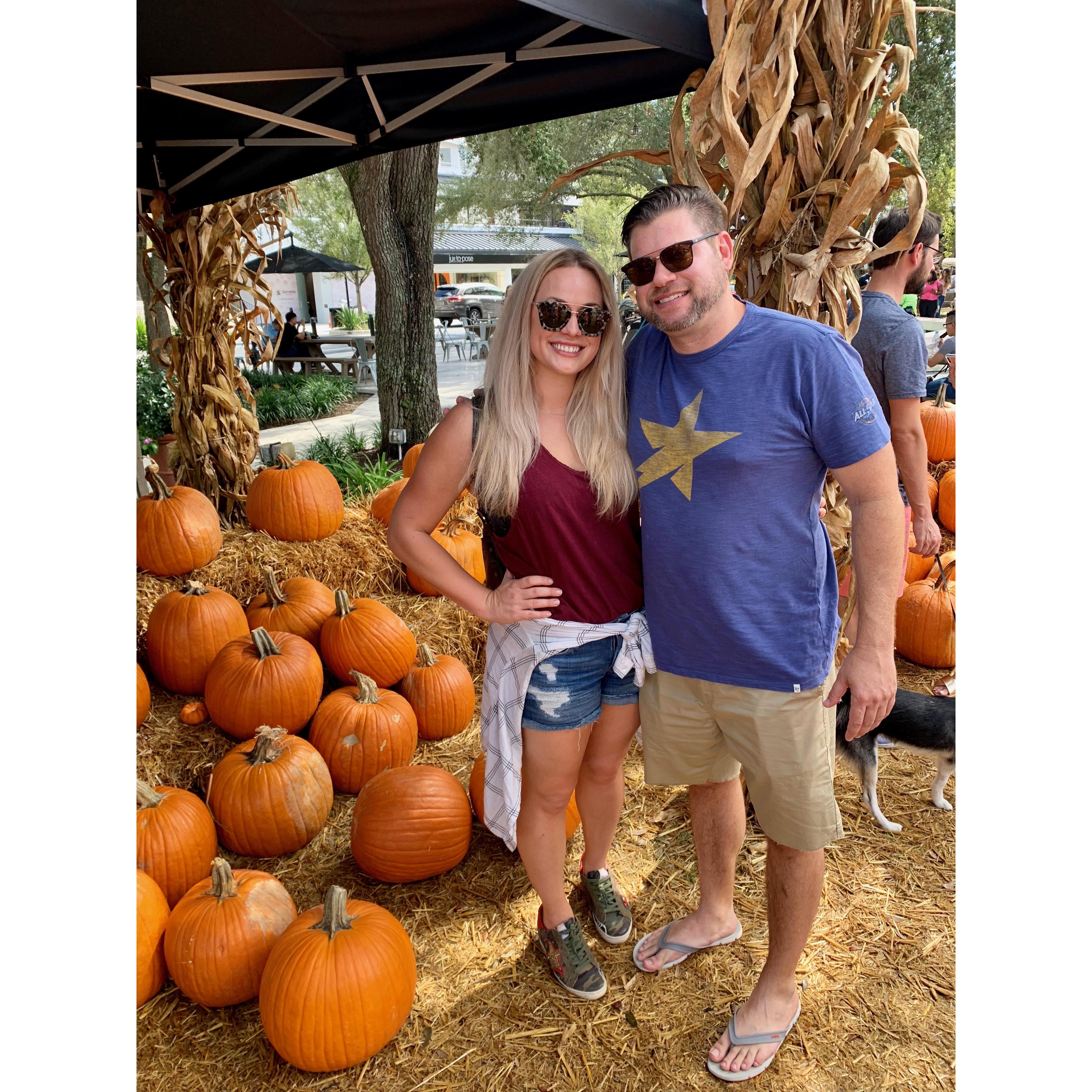 pumpkin patch