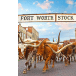 Stockyards Boulevard