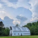 Ivy Creek Foundation