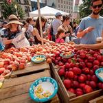 Dupont Farmer's Market