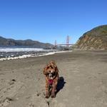 Baker Beach